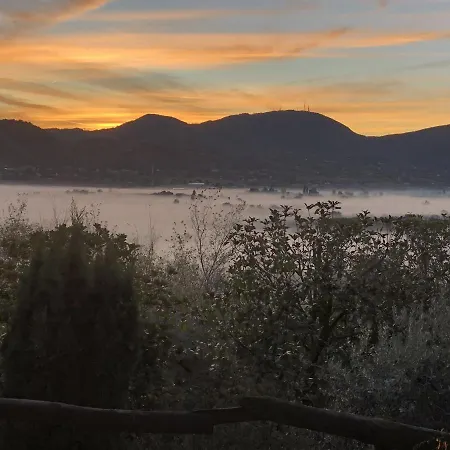 Rustico Del Vigneto Hébergement de vacances