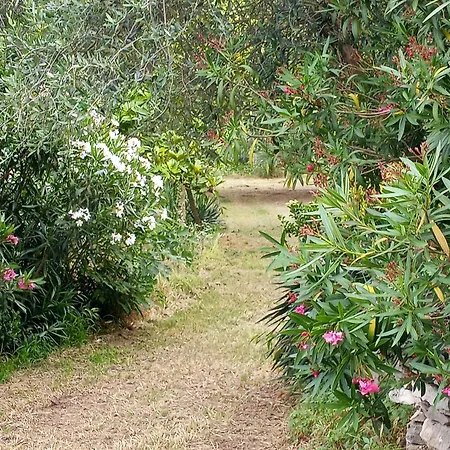 Rustico Del Vigneto Albettone